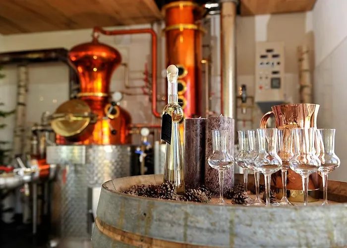 Freisicht Hotel Hagnau